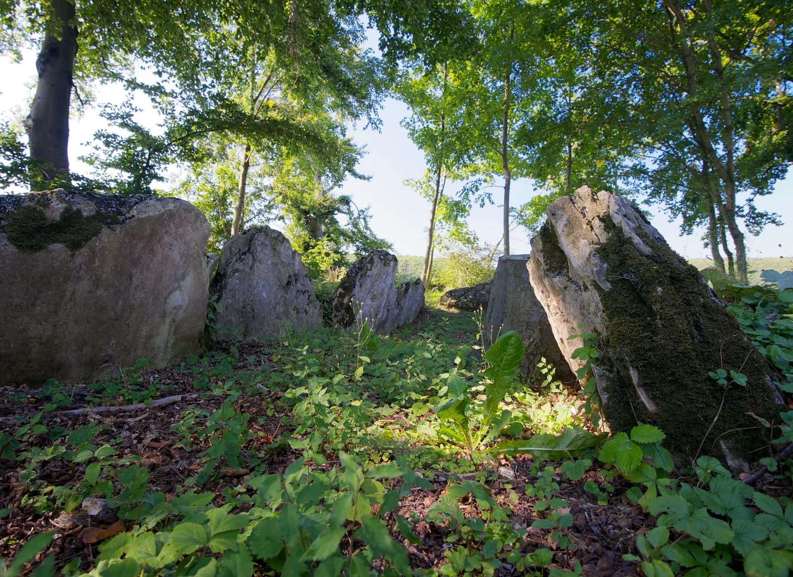 Landschaft bei Borchen, Entrümpelung Borchen durch PlatzMacher